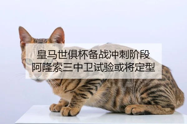 huang-ma-shi-ju-bei-bei-zhan-chong-ci-jie-duan-a-long-suo-san-zhong-wei-shi-yan-huo-jiang-ding-xing-1-537.jpg