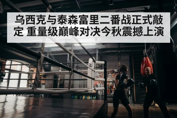 boxer training
